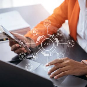 system integration & api services